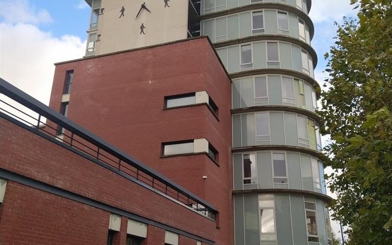 Douchy-Les-Mines (FR) - For rent